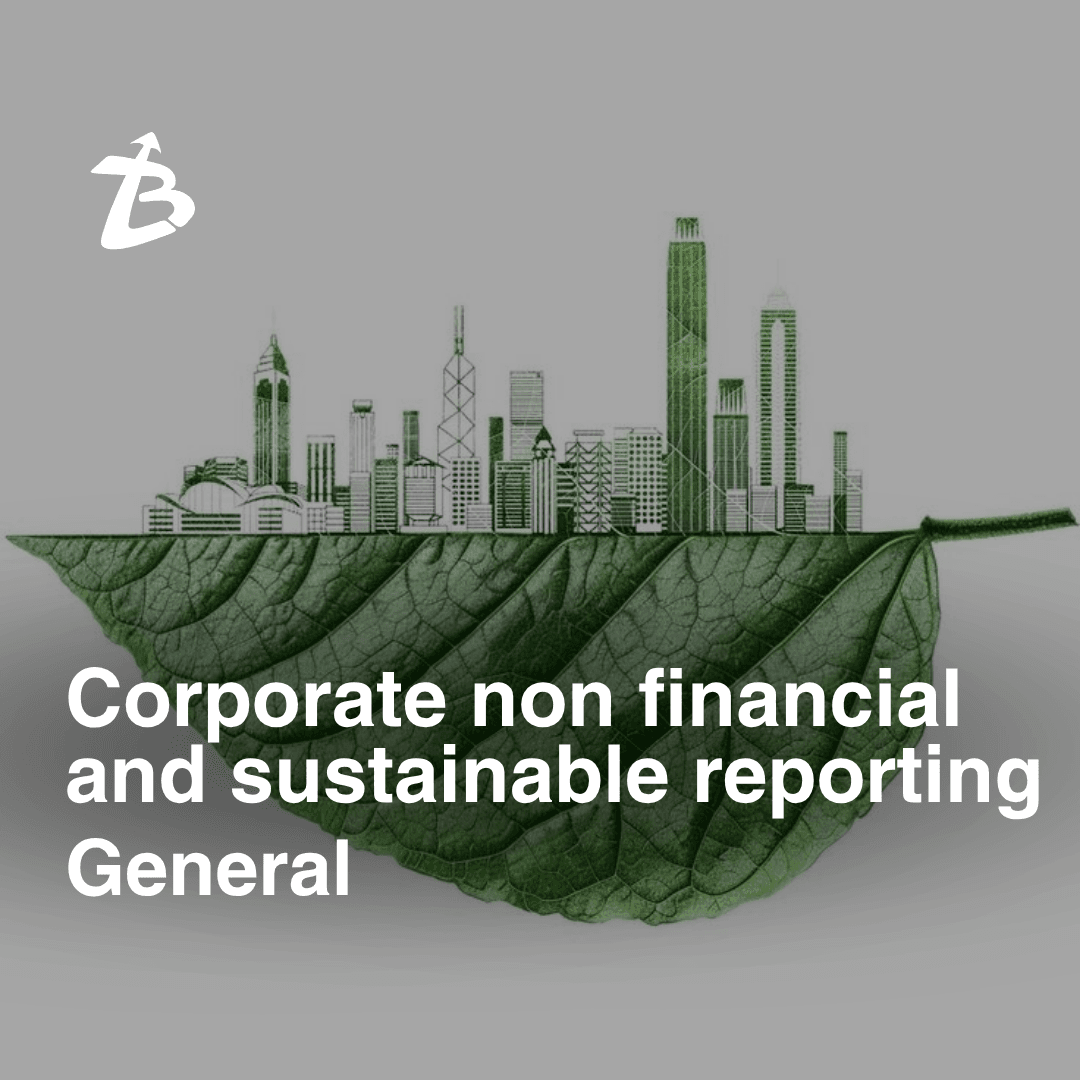 Corporate non financial and sustainable reporting (General)